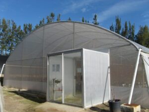 10m tunnel with walk in room