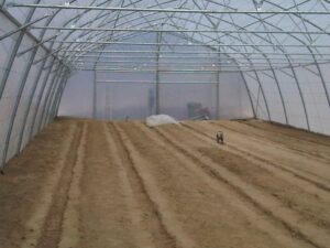 10m x 30m polyethylene coverd tunnel inside