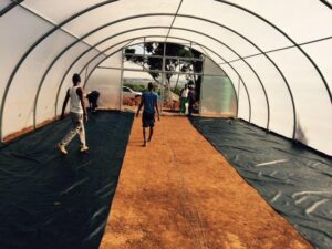 8m x 16m tunnel with weed stop floor covering