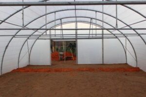 8m tunnel with crop supports