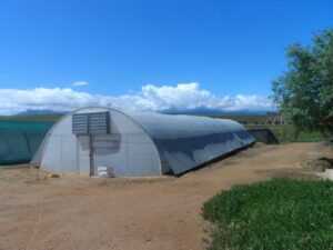 8m tunnel with pad and fan cooling