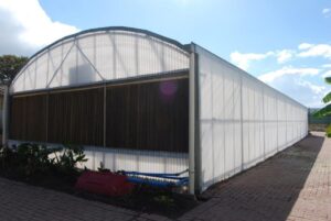 8m x 30m polycarbonate greenhouse with wet wall