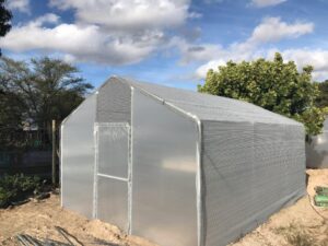 a frame domestic 4m x 6m tunnel