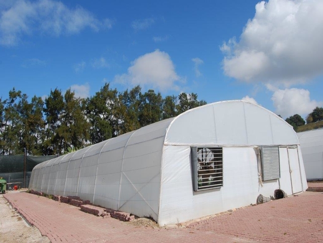10m tunnel outside