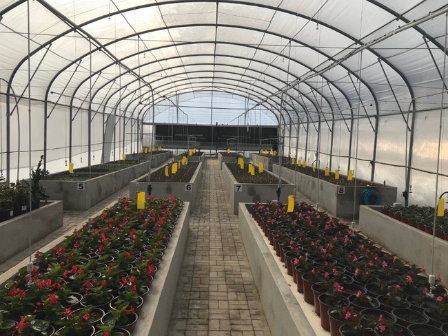 10mtunnel (1)
