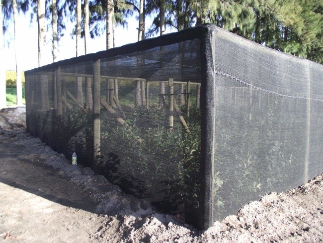 7. 6m x 30m net structure 1