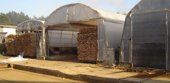 kiln 3